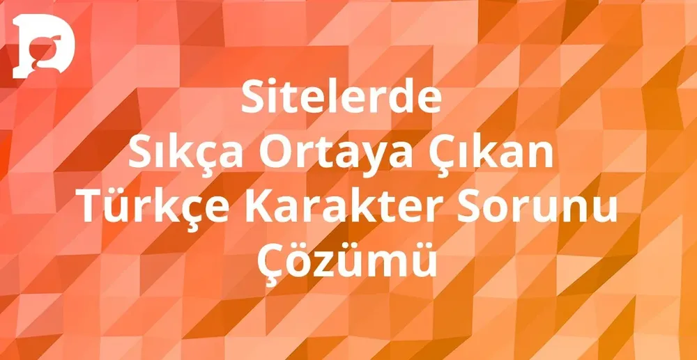 Sitelerde Sıkça Ortaya Çıkan Türkçe Karakter Sorunu