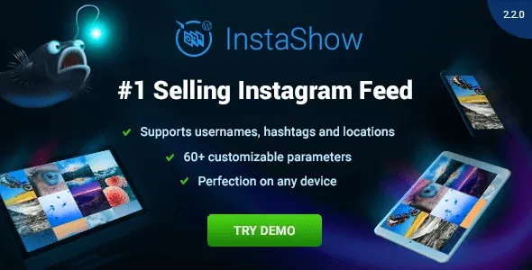 Instagram Feed Plugin