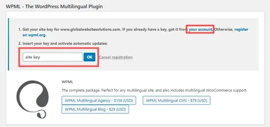 How to Automatically Translate Your WordPress Site (The Easy Way)