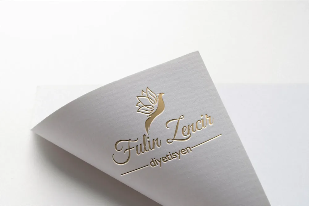 Dietitian Fulin Z. - Logo Design görsel 2
